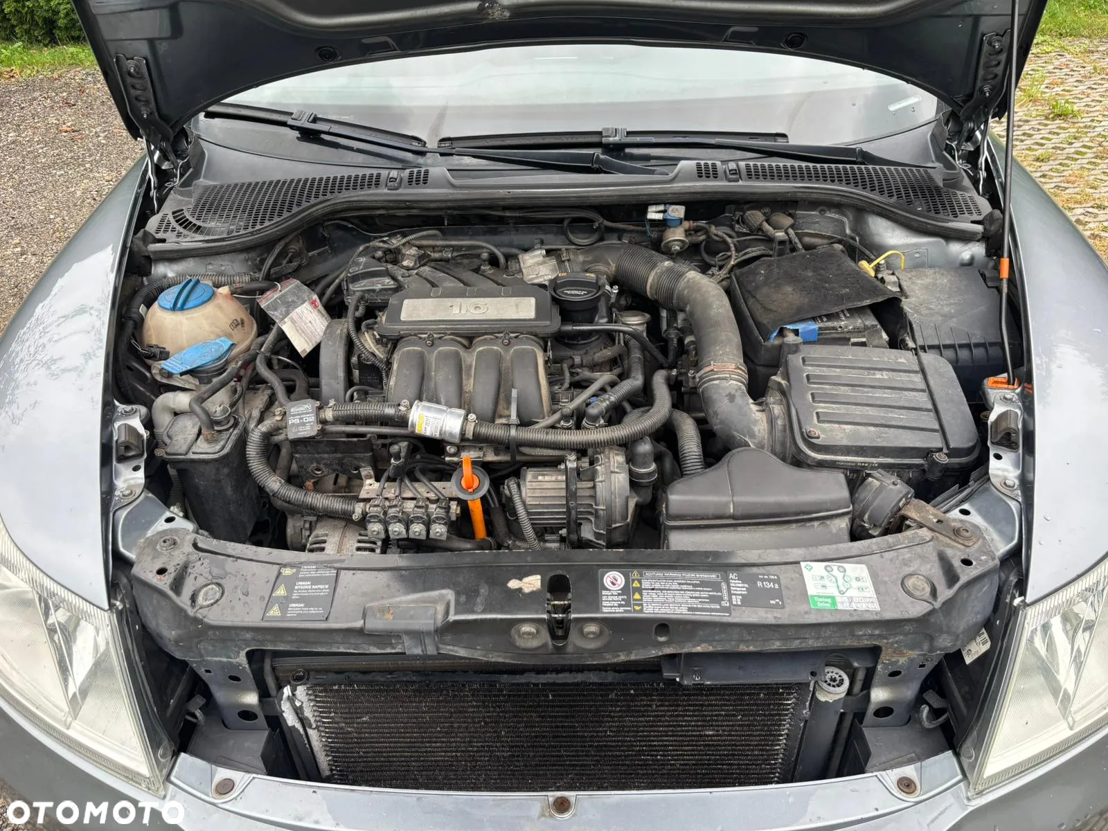 Skoda Octavia 1.6 - 12