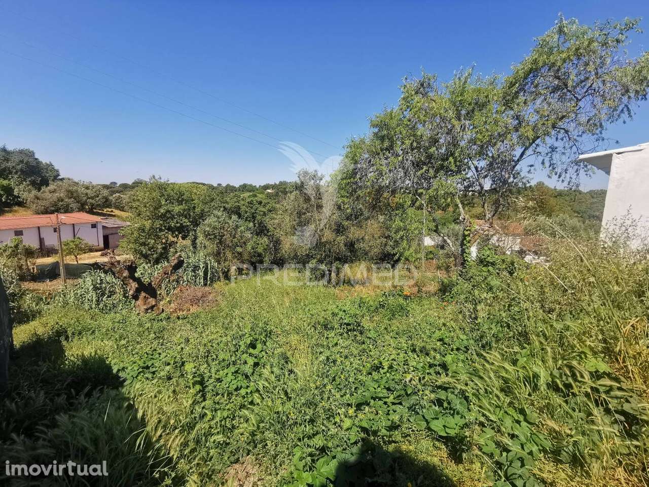 Lote de Terreno - Grande imagem: 5/9