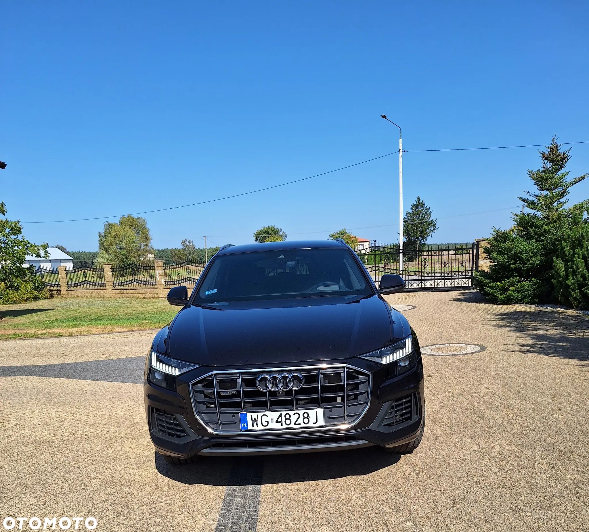 Audi Q8 - 1