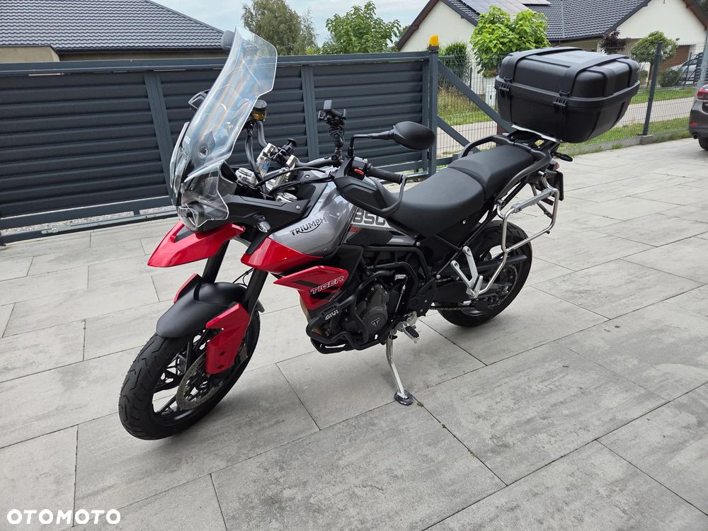Triumph Tiger - 29