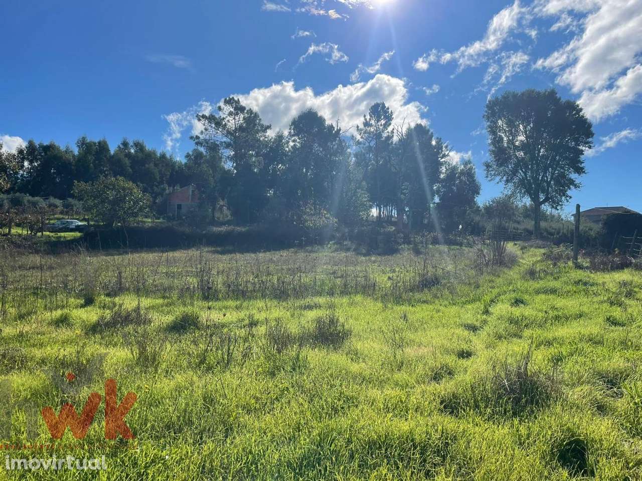 Terreno de 3.750m2 a 5 Minutos de Oliveira do Hospital - Grande imagem: 4/6