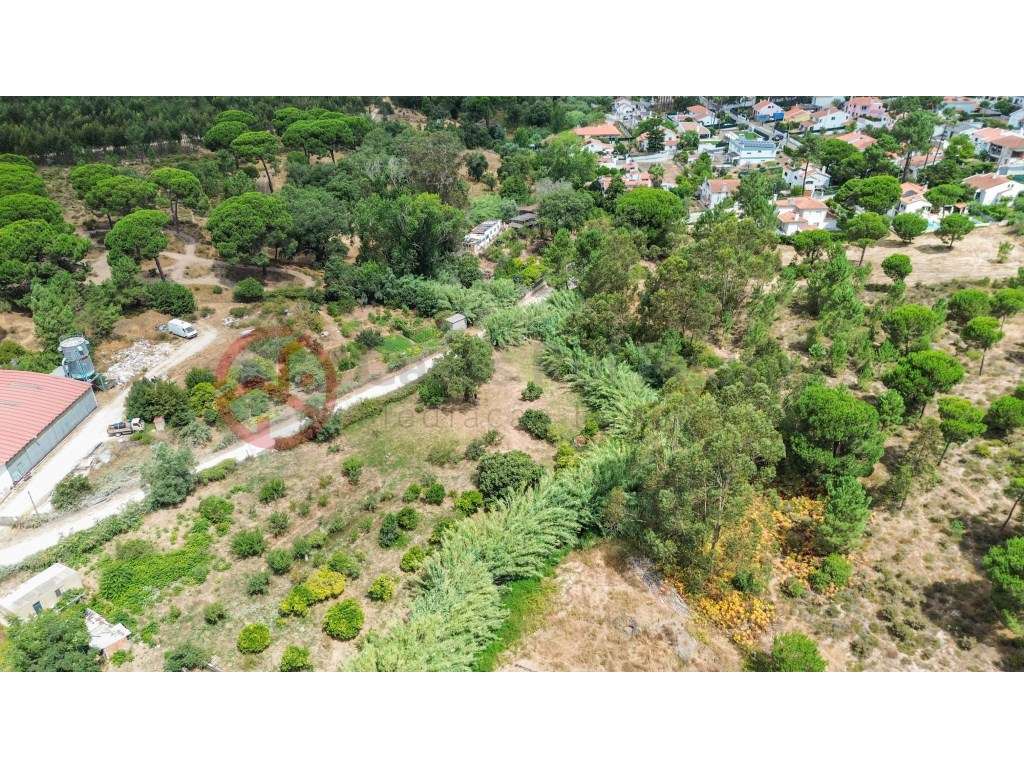Terreno com Informação Urbanística Favorável, Potencial de Construç... - Grande imagem: 5/26
