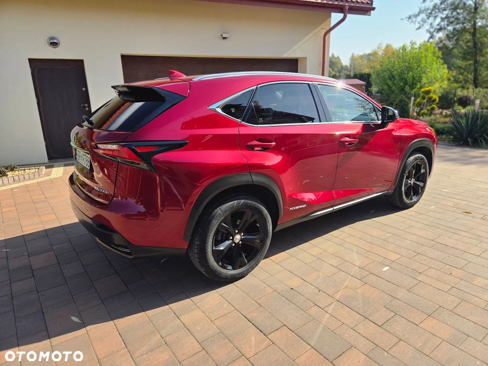 Lexus NX 300h Elite AWD - 5