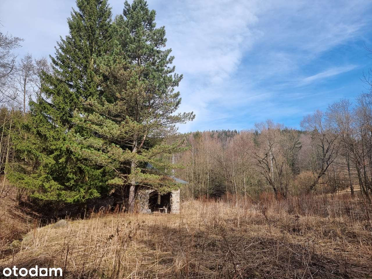 Działka siedliskowa 9300 m² zabudowana z mediami i ogrodzeniem. - Pełny obrazek: 4/14