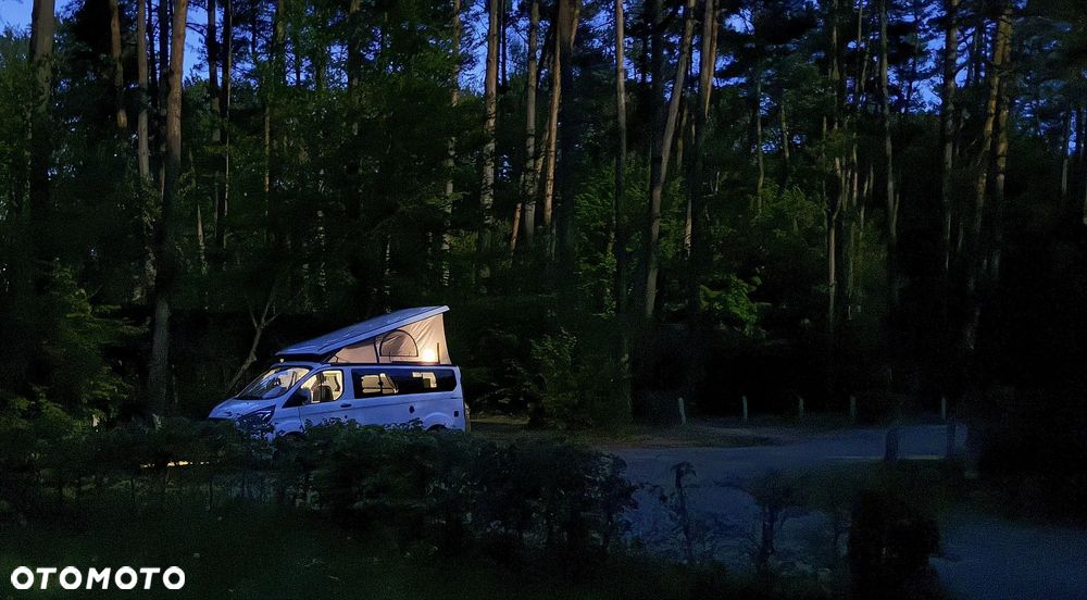 Ford Transit Custom 320 L1H1 Trend (bryg.) - 10