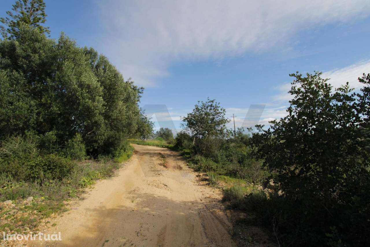 Prédio misto com casa e 9 terrenos rústicos, localizado na zona de Est - Grande imagem: 5/10