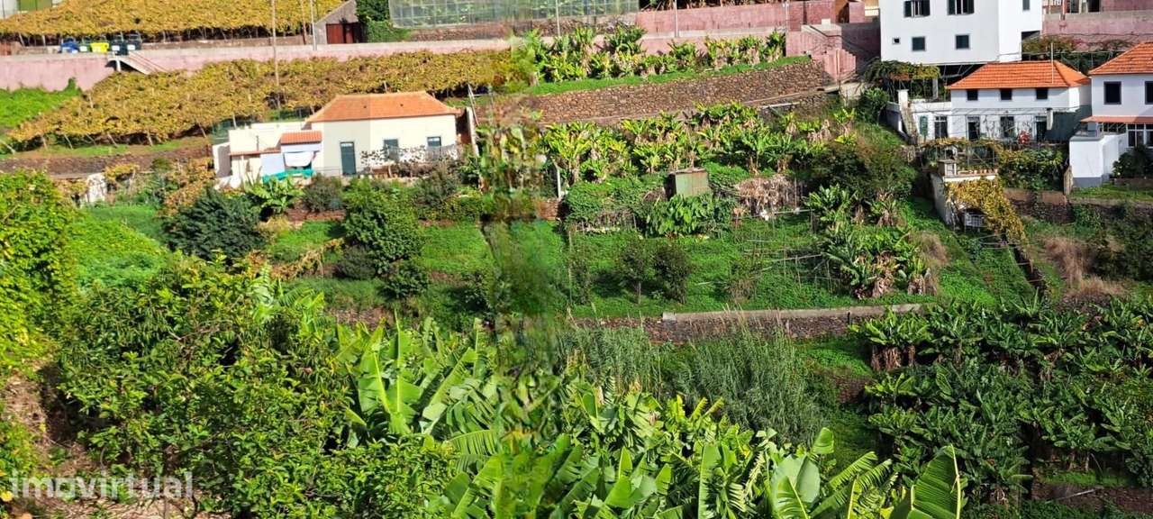 Terreno 9825m2 em Câmara de Lobos - Grande imagem: 4/24