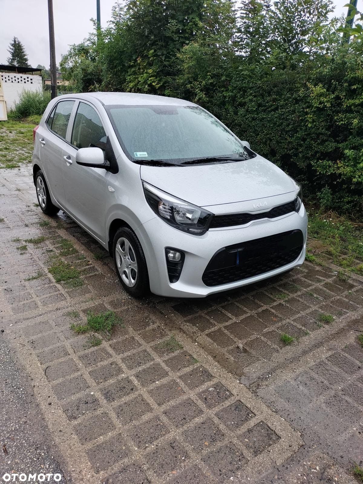 Kia Picanto 1.0 L - 1