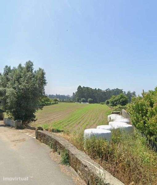 Terreno para agricultura em Vila Cova - Grande imagem: 3/3