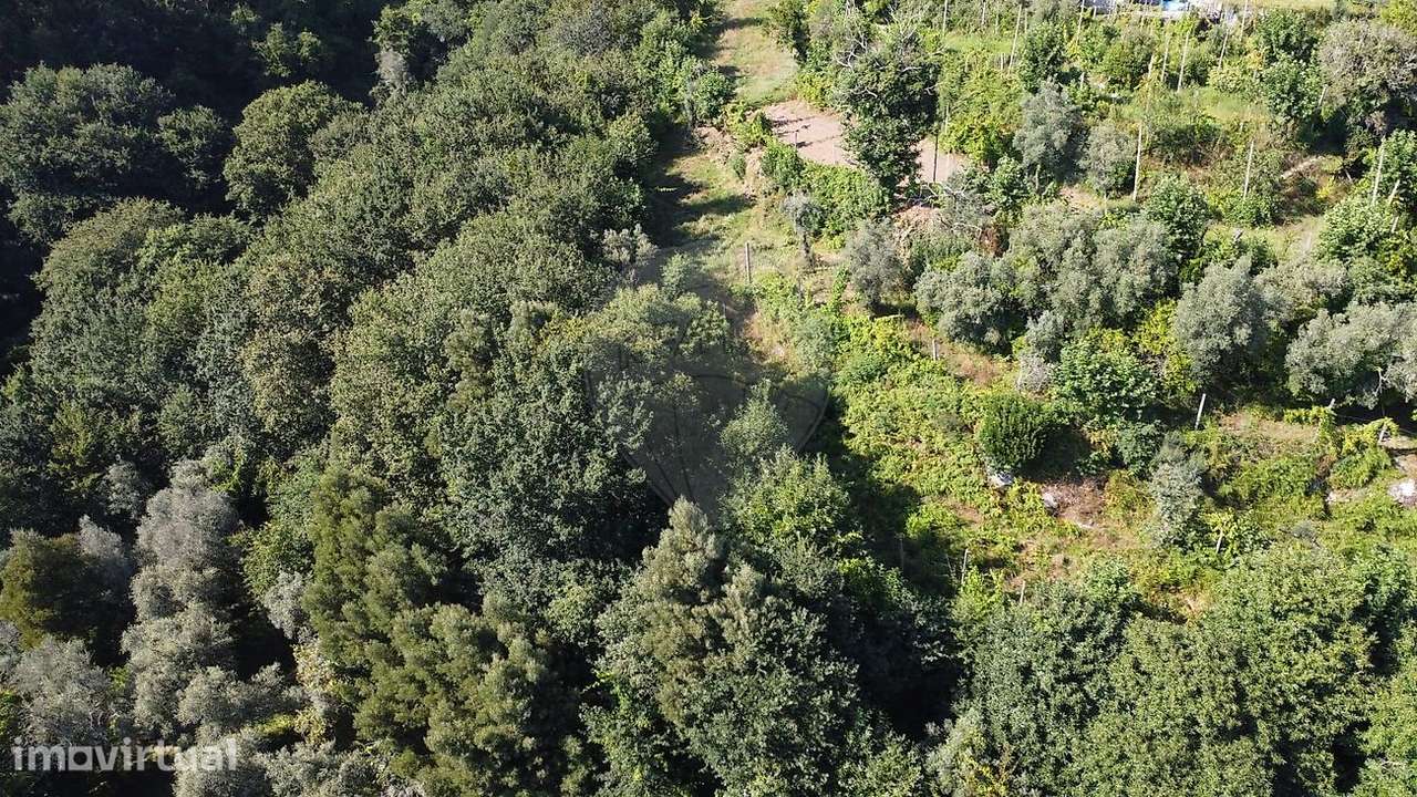 Terreno  para venda - Grande imagem: 5/10