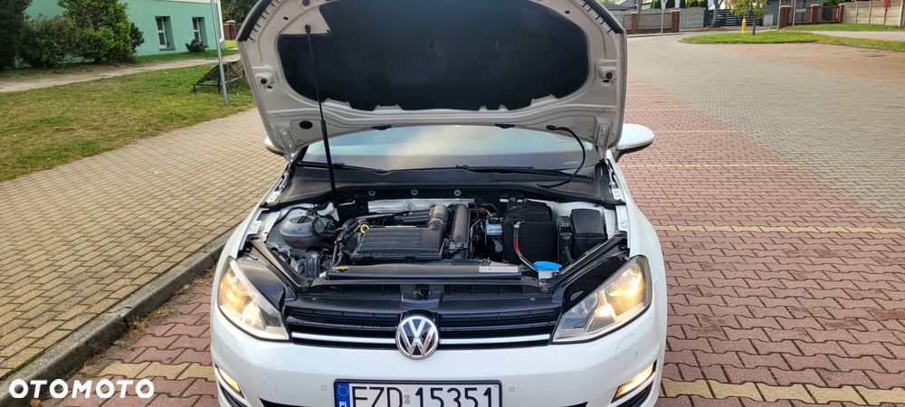 Volkswagen Golf - 18