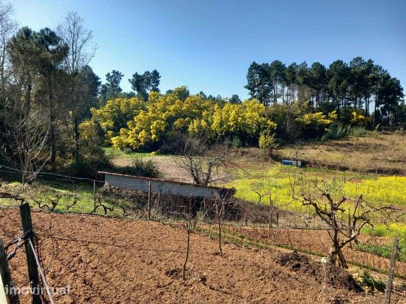 Casa Térrea C Parqueamento Privativo Vista desafogada pouca vizinhança - Grande imagem: 2/6