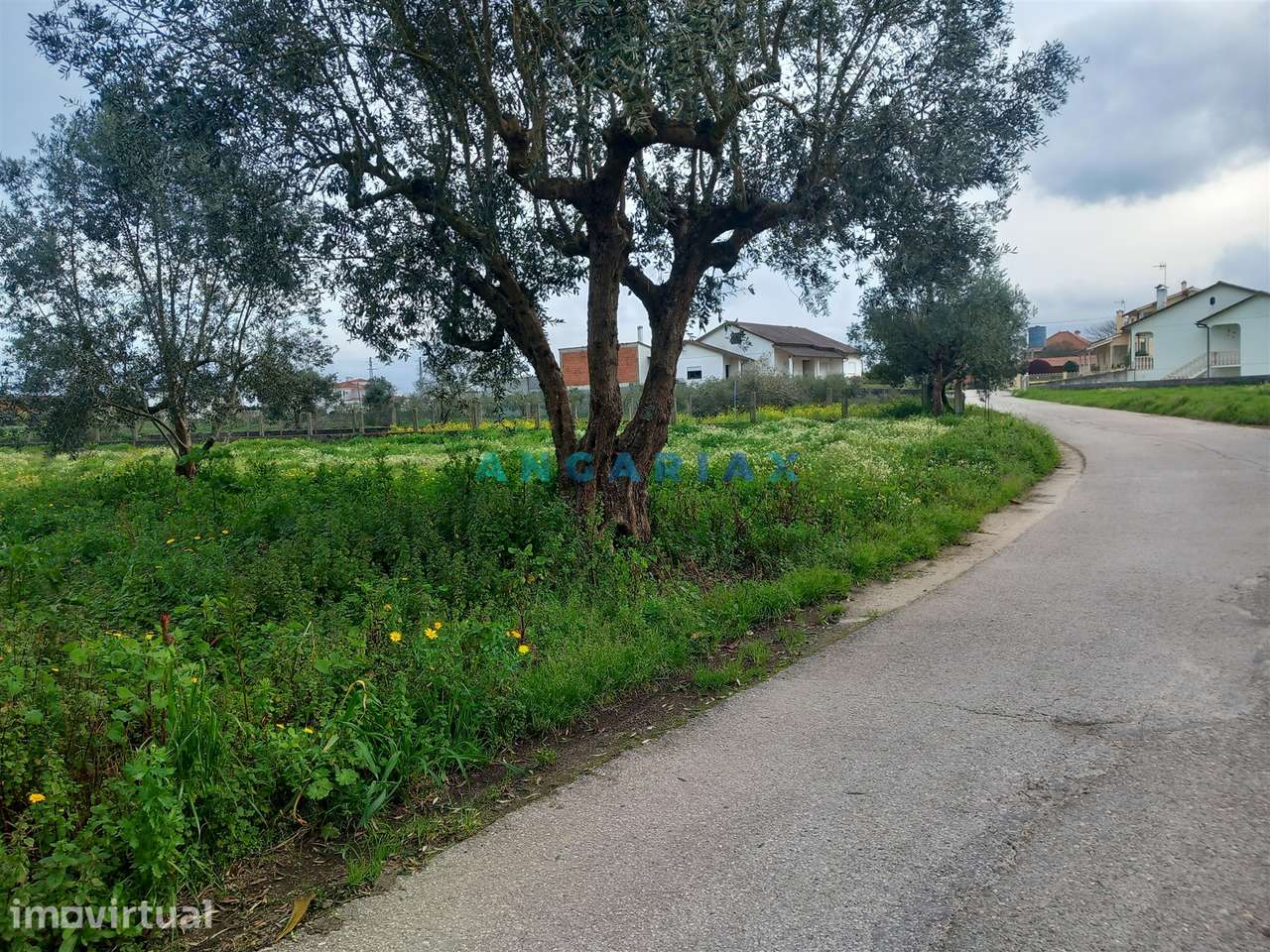 ANG1601 - Terreno para Venda em Vermoil, Pombal - Grande imagem: 4/6