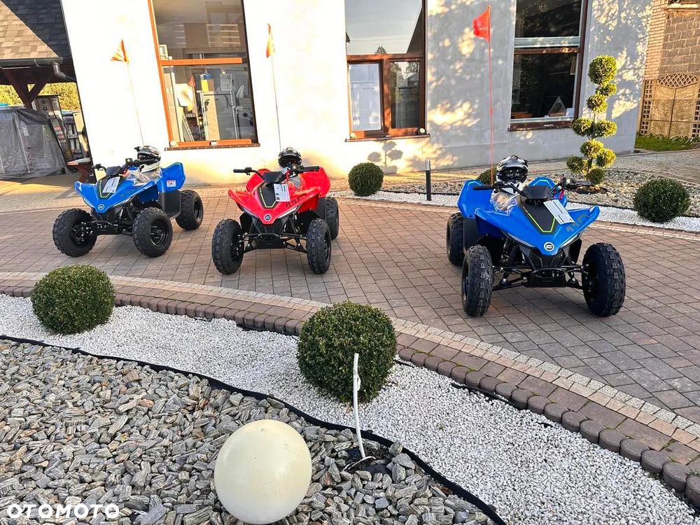 CFMoto CForce - 6