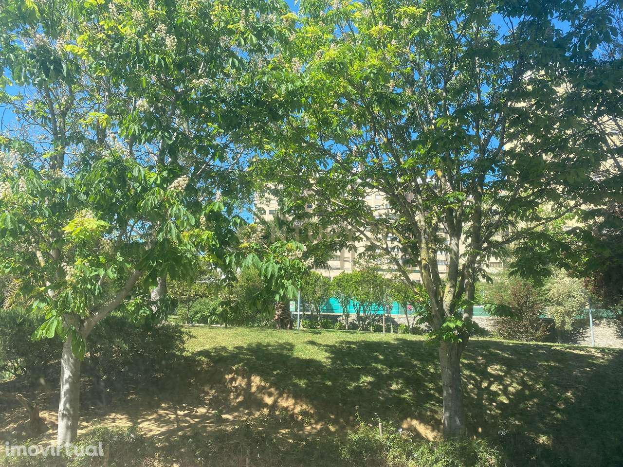 Loja Quinta do Patrimonio - Grande imagem: 5/5