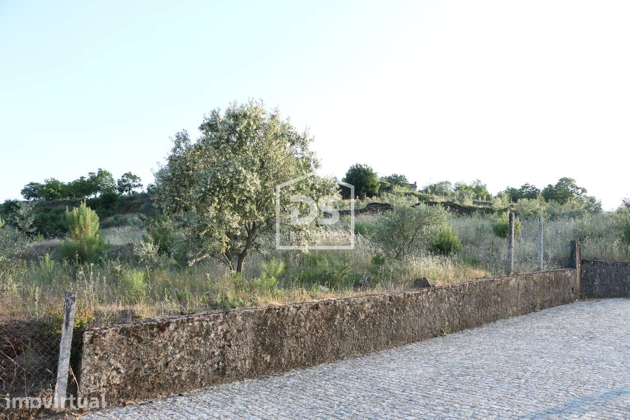 Terreno, Viseu, Lamego, Ferreiros de Avões - Grande imagem: 4/4