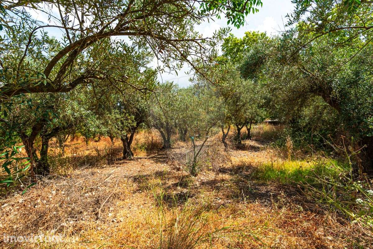 Terreno  para venda - Grande imagem: 4/44