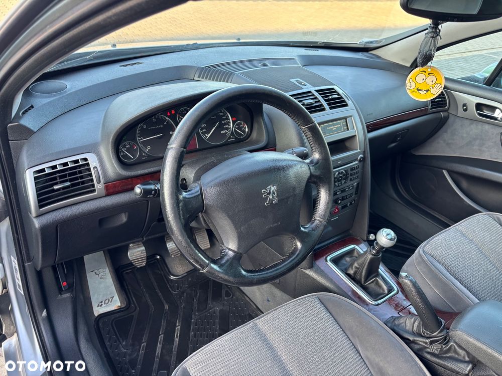 Peugeot 407 - 18