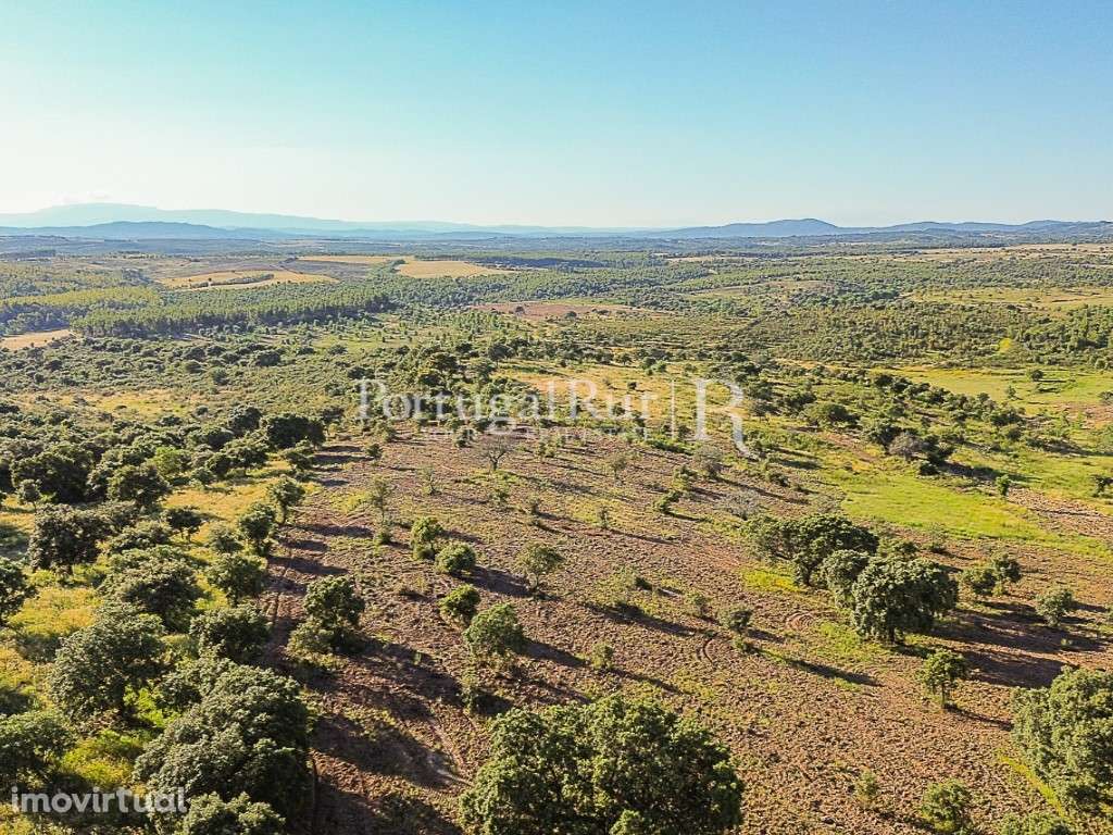 Quinta de 9,4 hectares em Medelim - Grande imagem: 3/21