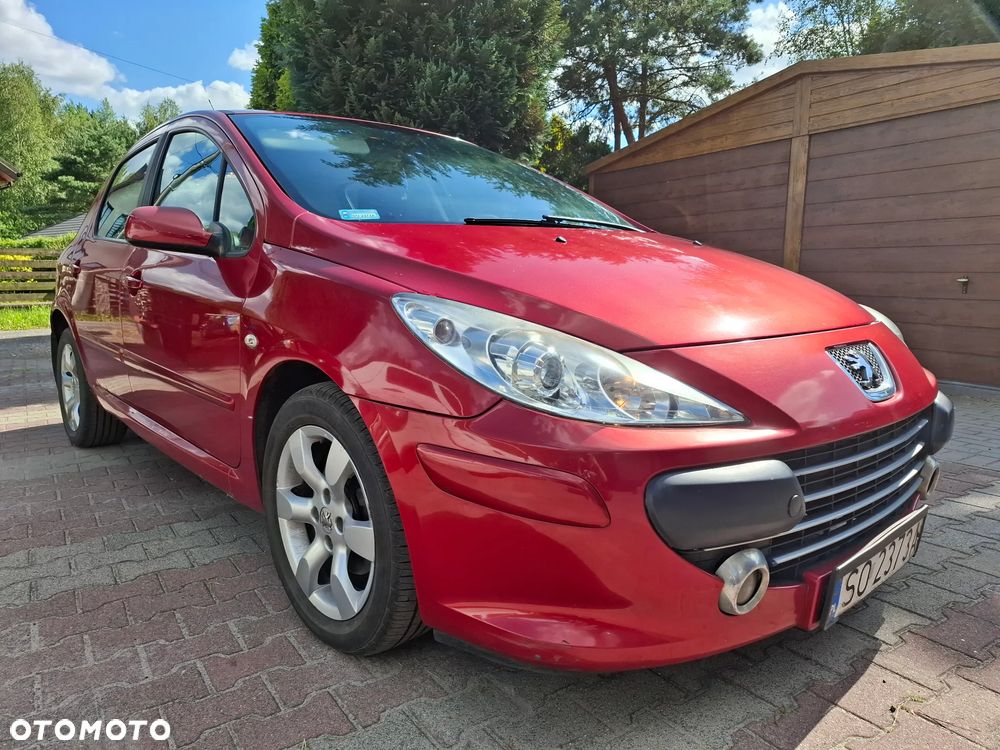 Peugeot 307 1.6 HDI Oxygo - 11