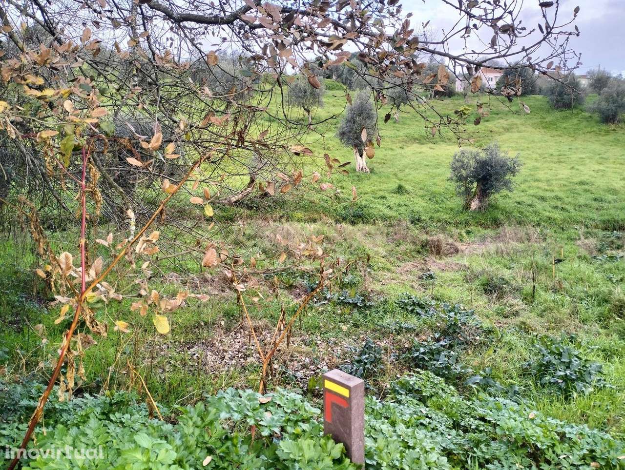 Terreno em Beco - Ferreira do Zêzere - Grande imagem: 4/6