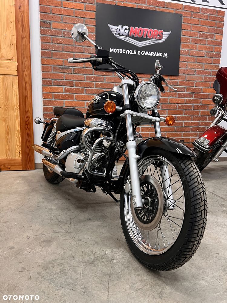 Suzuki Intruder - 6