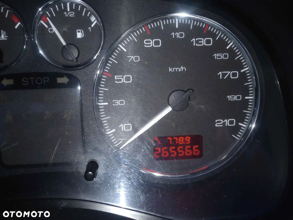 Peugeot 307 - 5