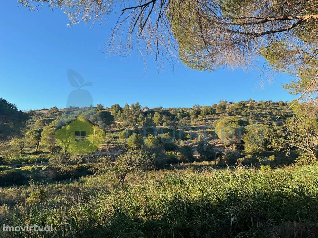 TERRENO VISTA FABULOSA A SUL - 5.240(m2) A 1KM DE TUNES GARE - Grande imagem: 2/33