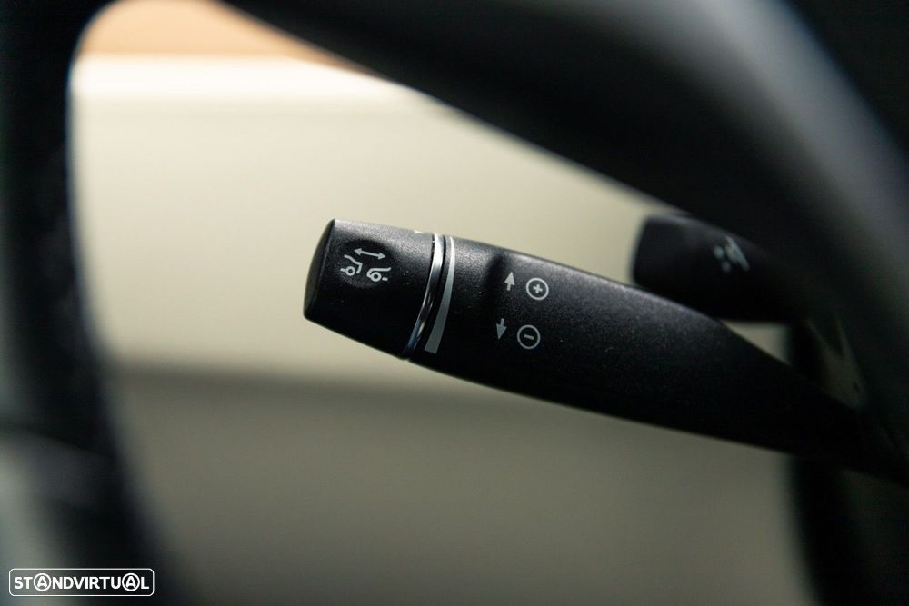 Tesla Model X 100 kWh Long Range AWD - 32