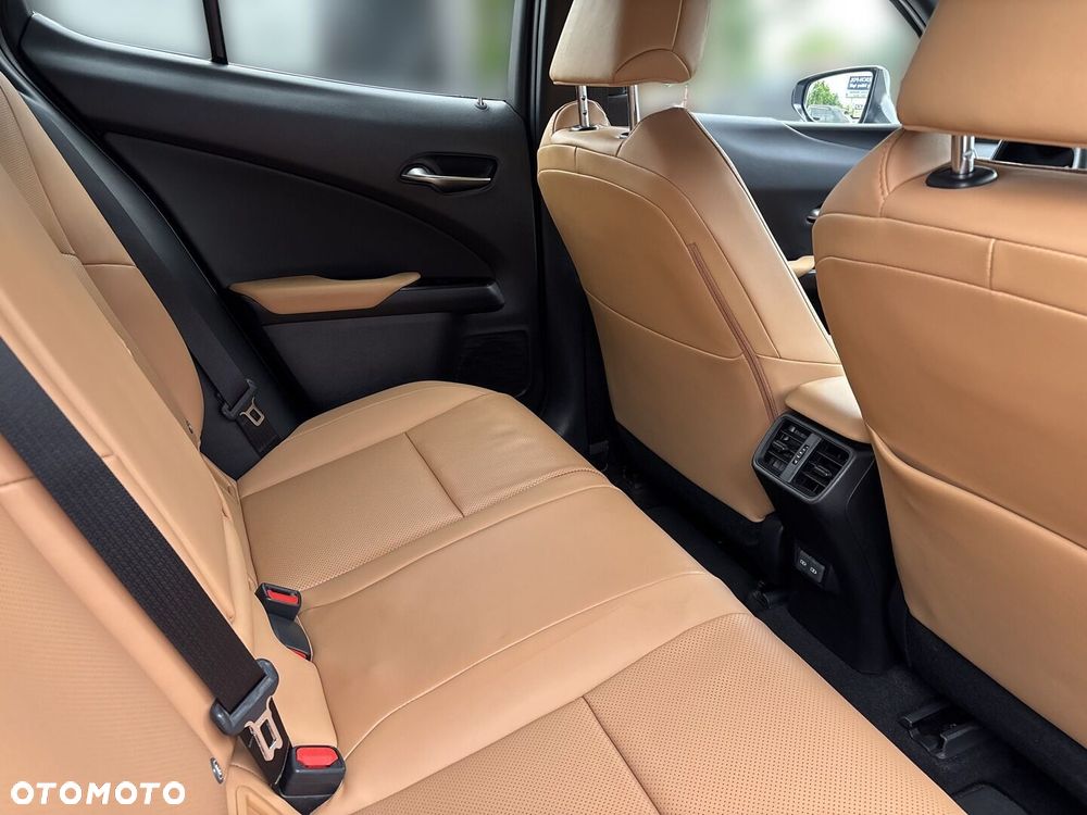 Lexus UX 300h Omotenashi - 23
