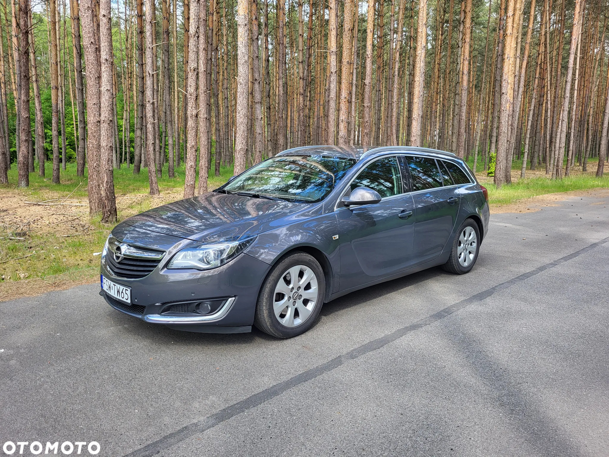 Opel Insignia 2.0 CDTI EcoFLEX S&S - 12
