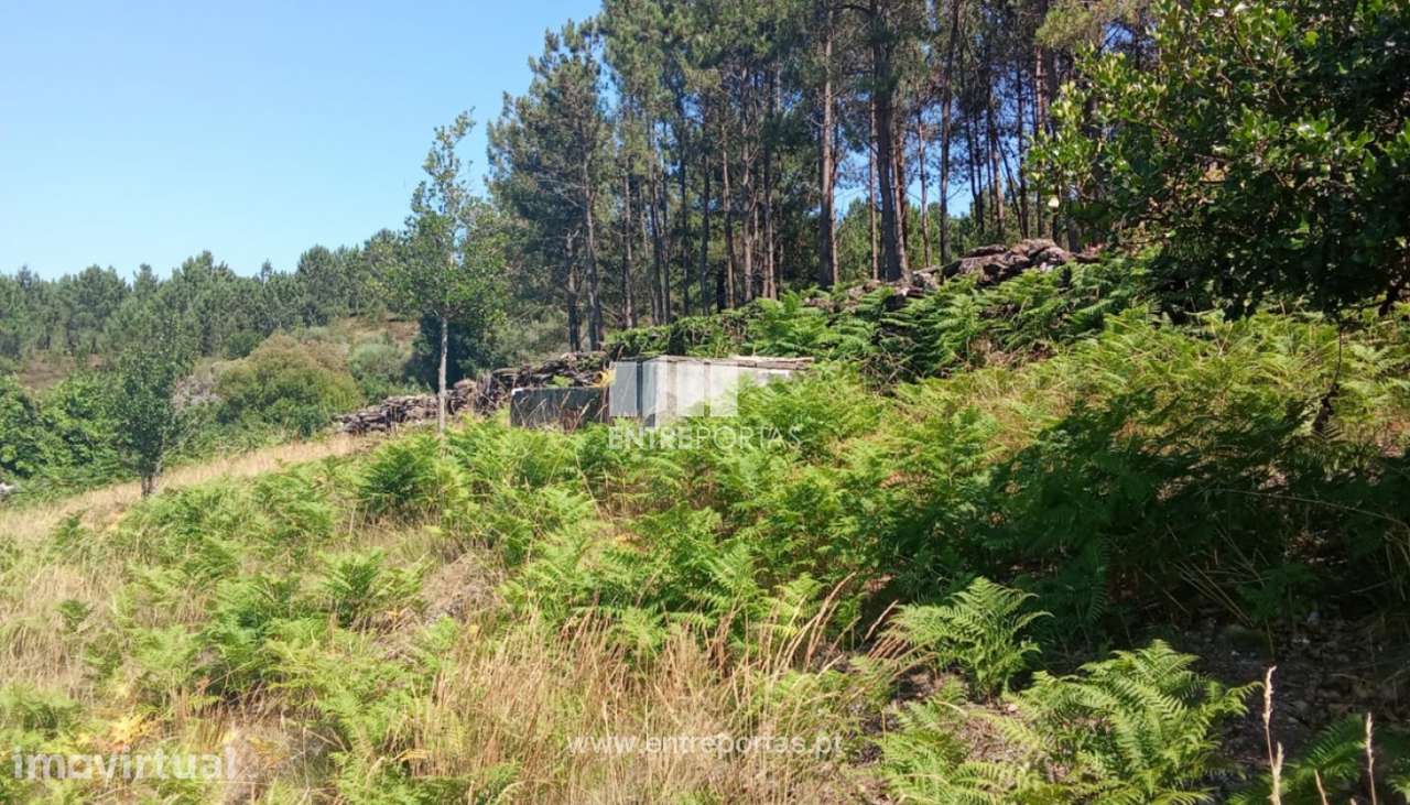 Terreno para venda, Arga de Baixo, Caminha - Grande imagem: 2/10