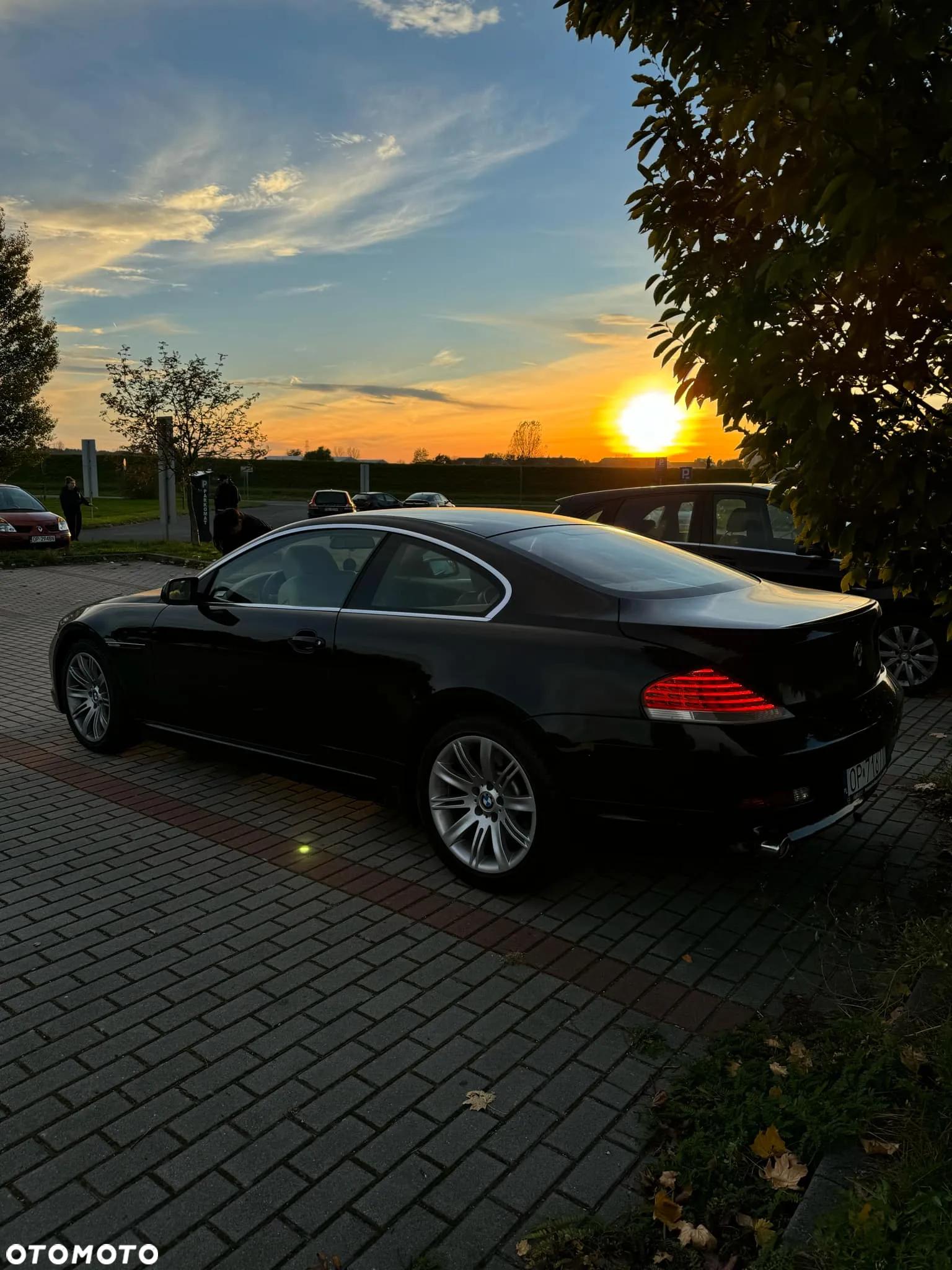 BMW Seria 6 645 Ci - 10