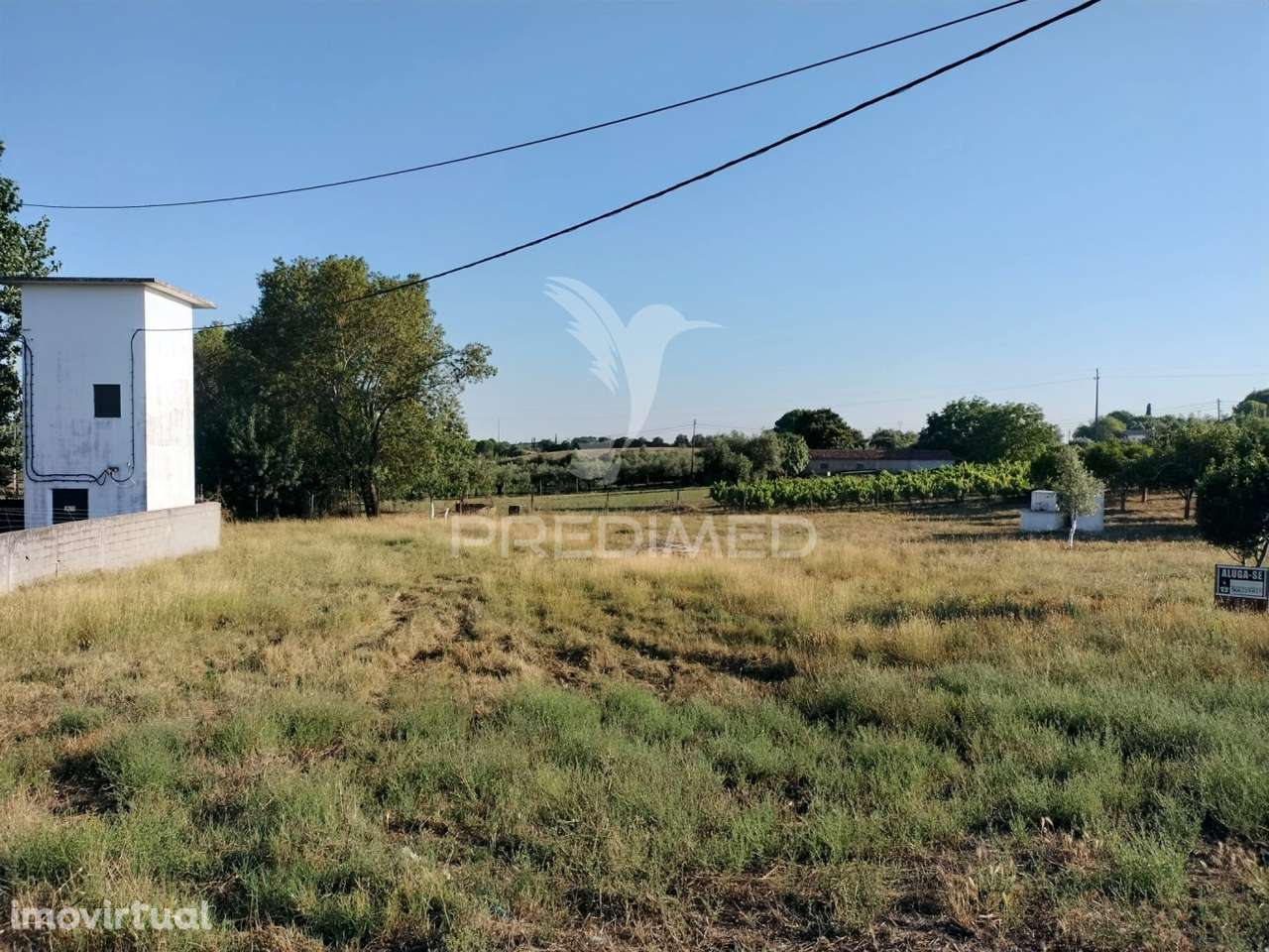 Terreno Urbano na entrada Principal de Torres Novas - Grande imagem: 5/22
