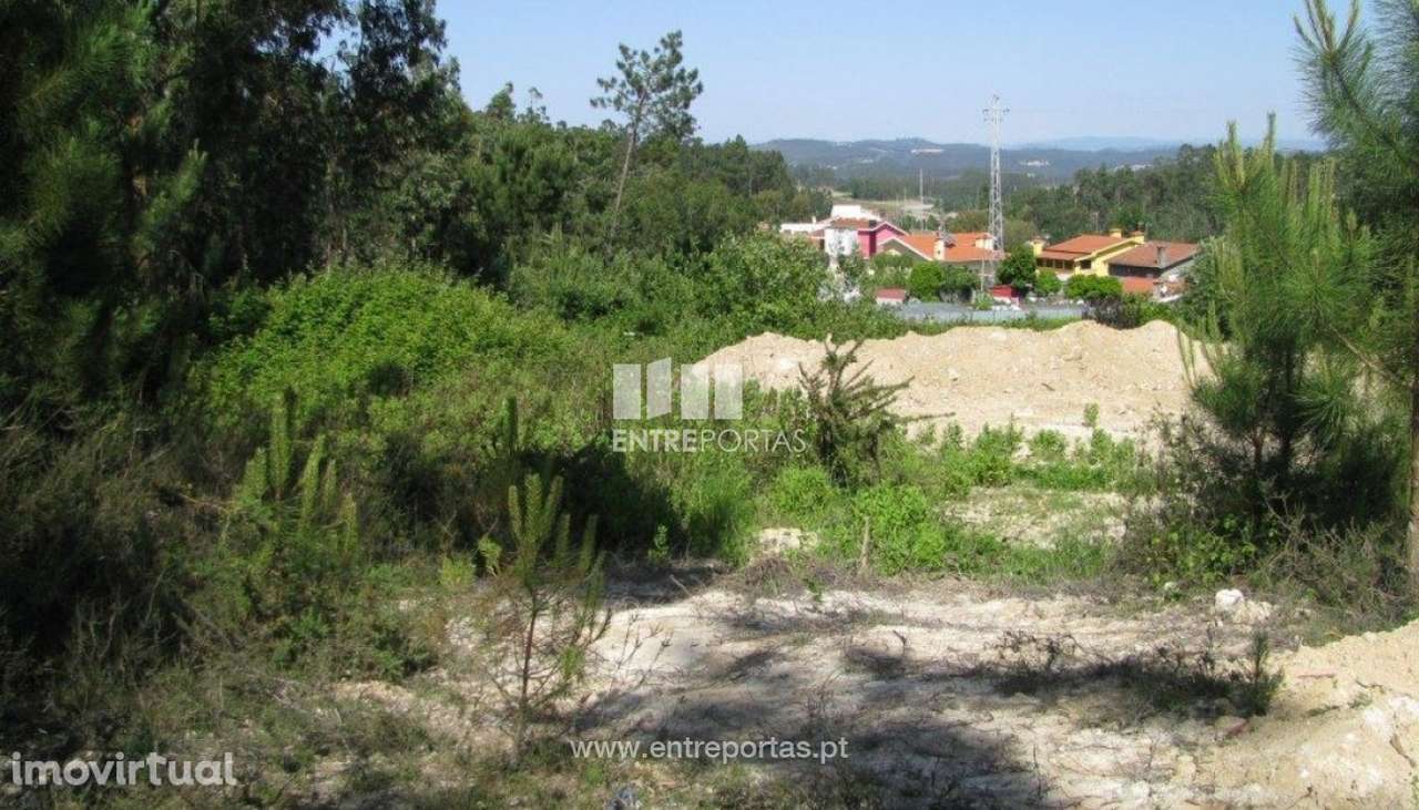 Venda de Terreno com 7800 m2, Bagunte, Vila do Conde - Grande imagem: 2/5