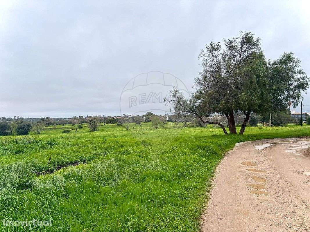 Terreno  para arrendamento - Grande imagem: 3/9