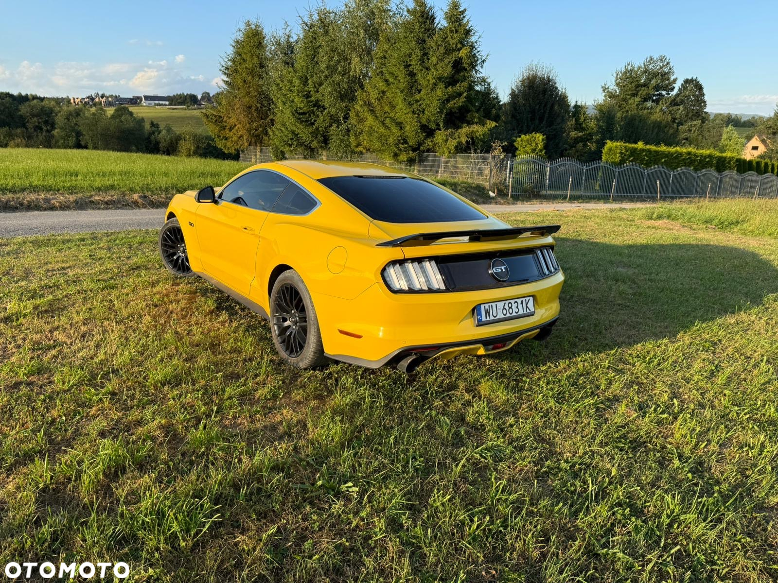 Ford Mustang 5.0 V8 GT - 3