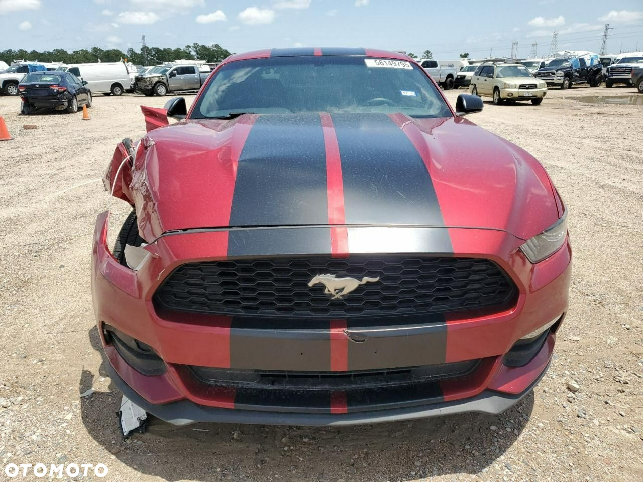 Ford Mustang - 6