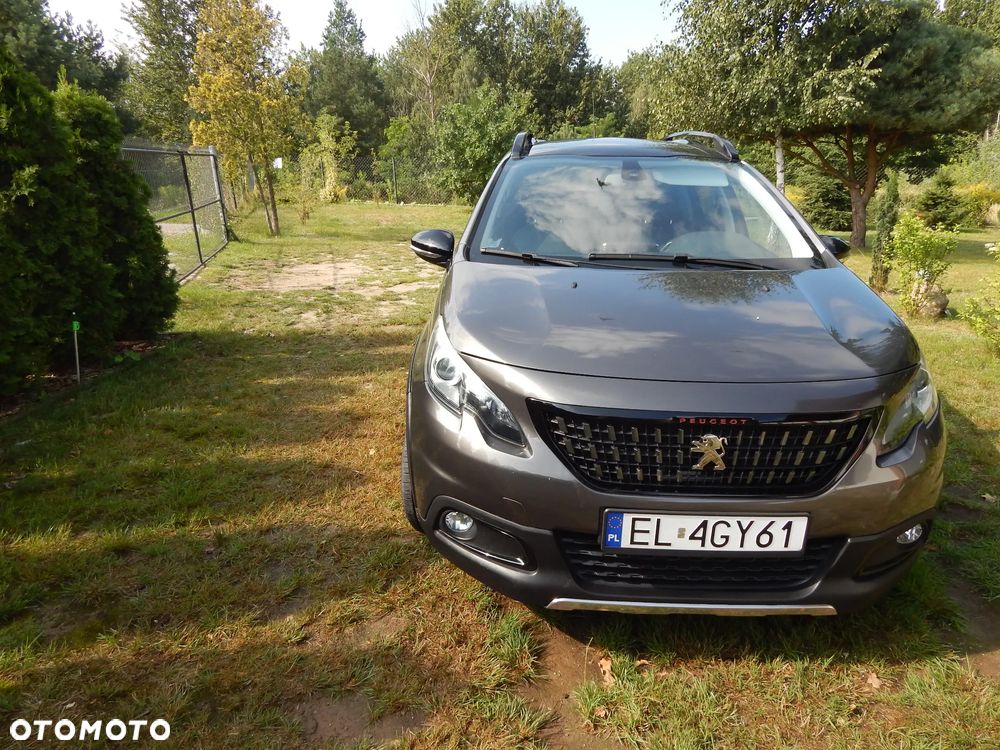 Peugeot 2008 - 5