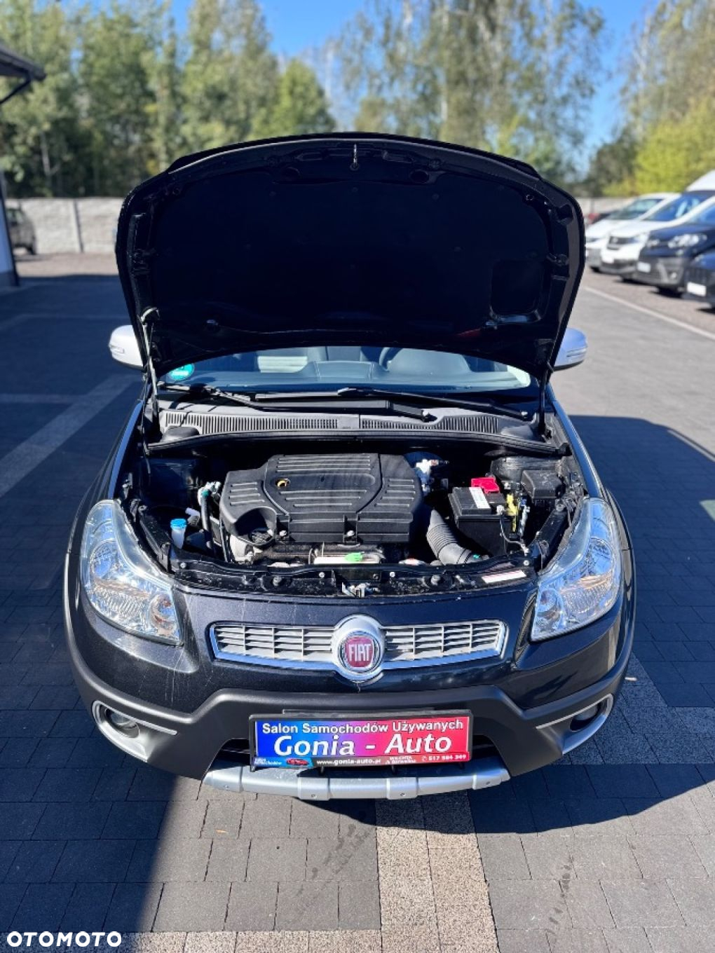 Fiat Sedici - 14