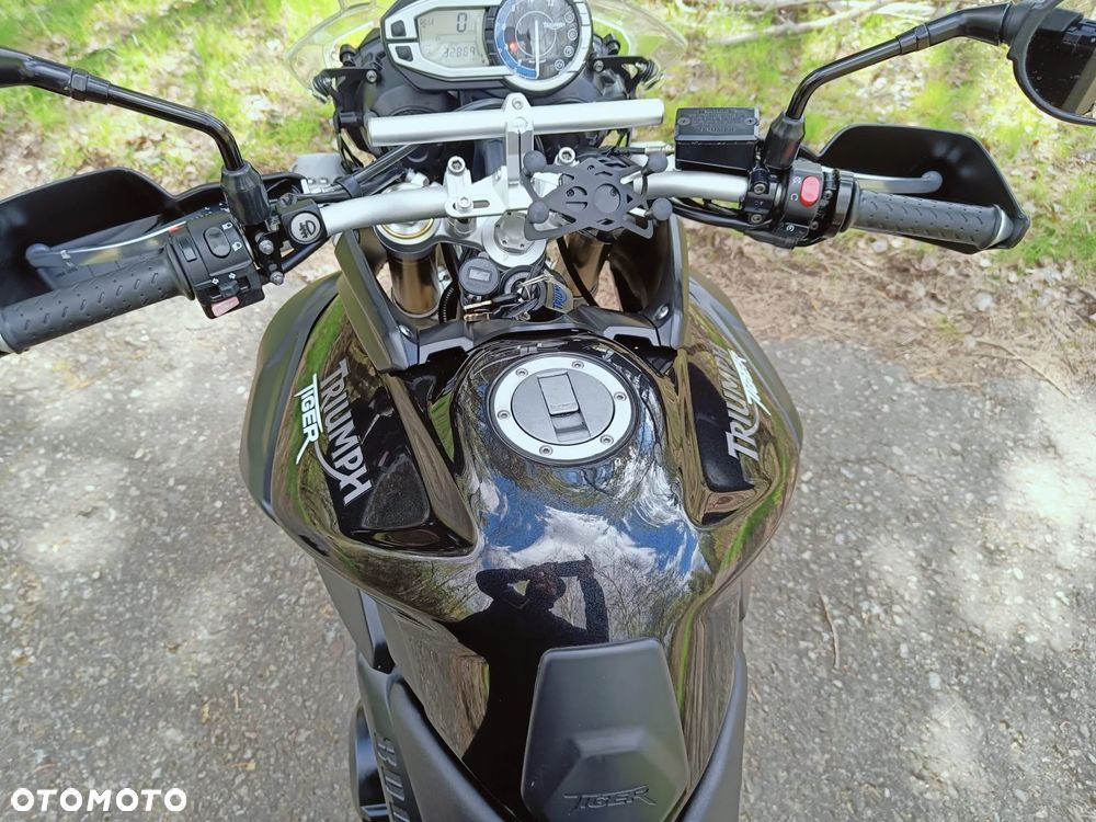 Triumph Tiger - 12