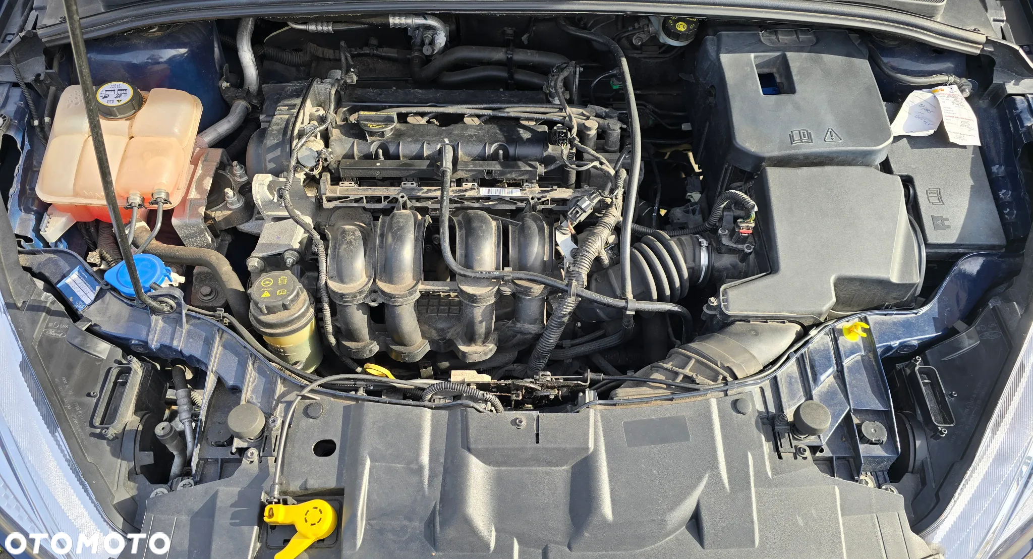 Ford Focus 1.6 TI-VCT Ambiente - 27