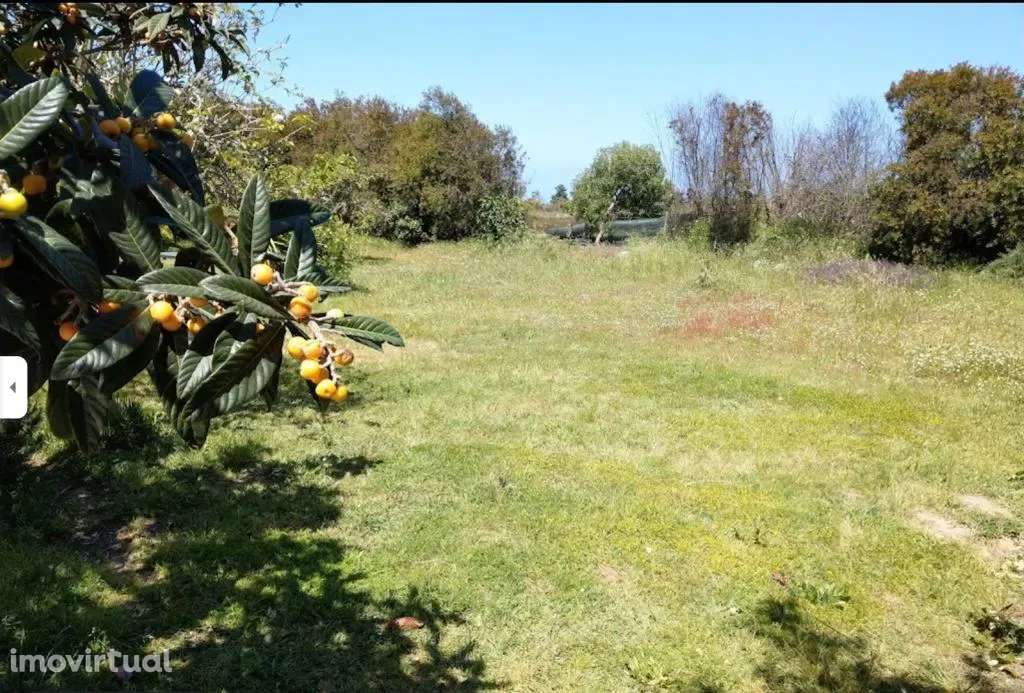 A Villa Monte Samoqueiro em São Teotónio, Odemira - Oportunidade Única - Grande imagem: 2/42