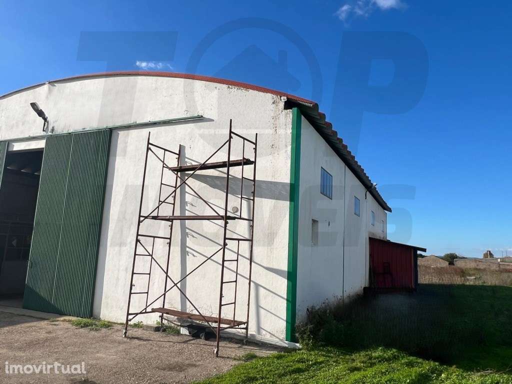 Armazém - Foros de Salvaterra - 275.000€ - Grande imagem: 2/3
