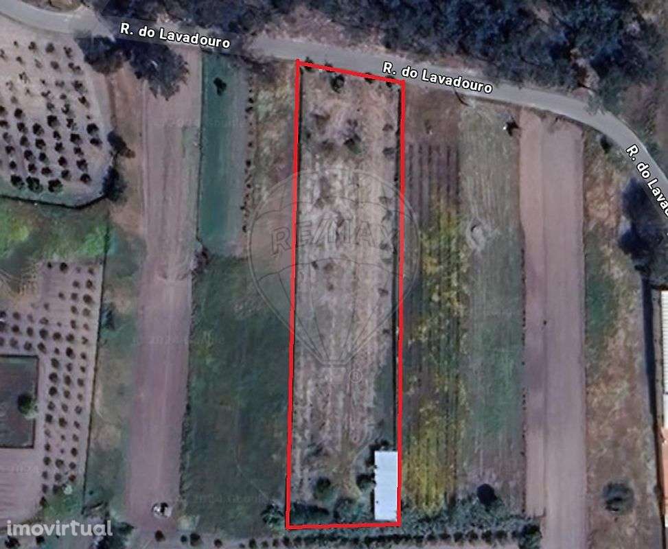 Terreno  para arrendamento - Grande imagem: 5/5