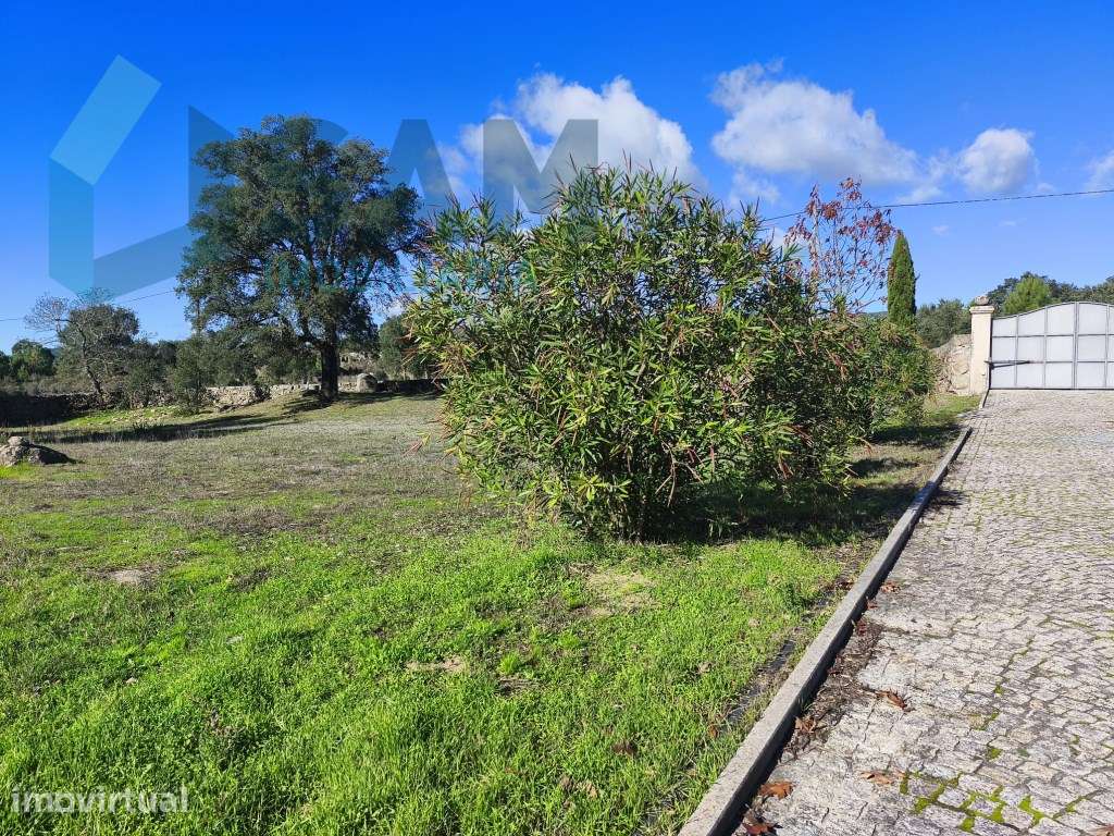 Herdade em Juncais com Alvará de Alojamento Local | Oportunidade de... - Grande imagem: 3/41