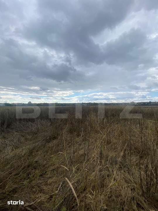 Teren extravilan, 2500 mp, zona Lucieni - Imagine principală: 3/4