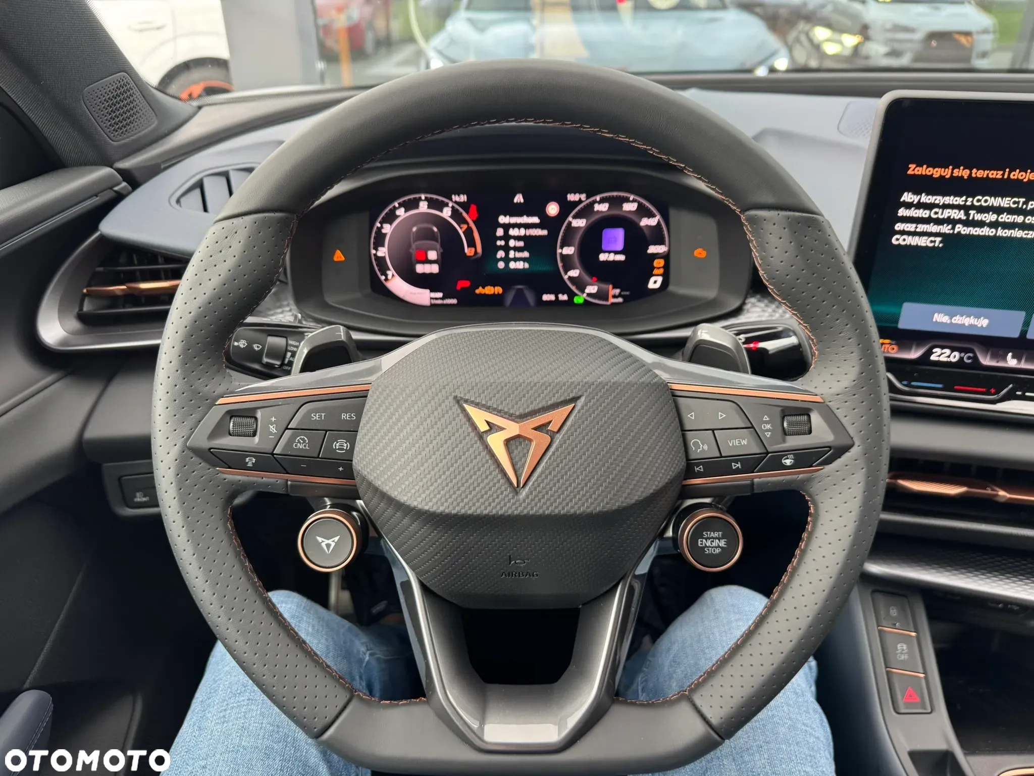 Cupra Terramar 1.5 eTSI mHEV DSG - 15