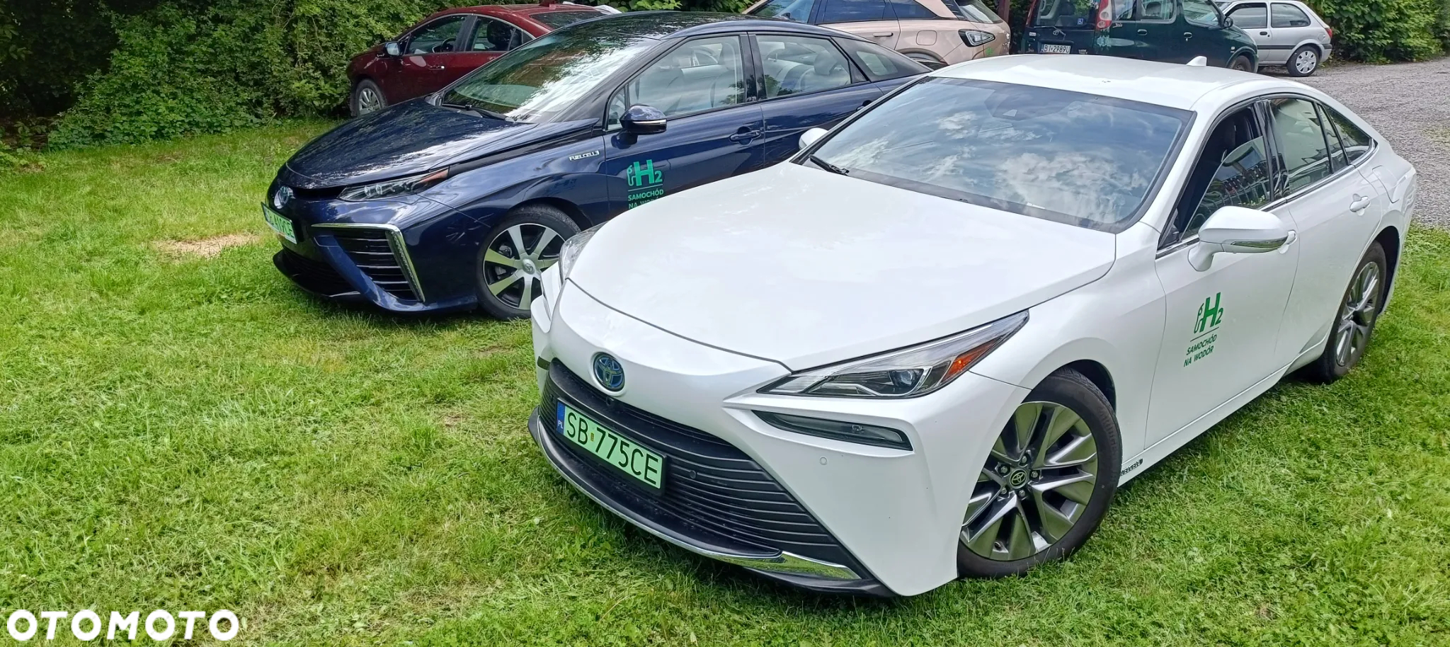 Toyota Mirai Standard - 15