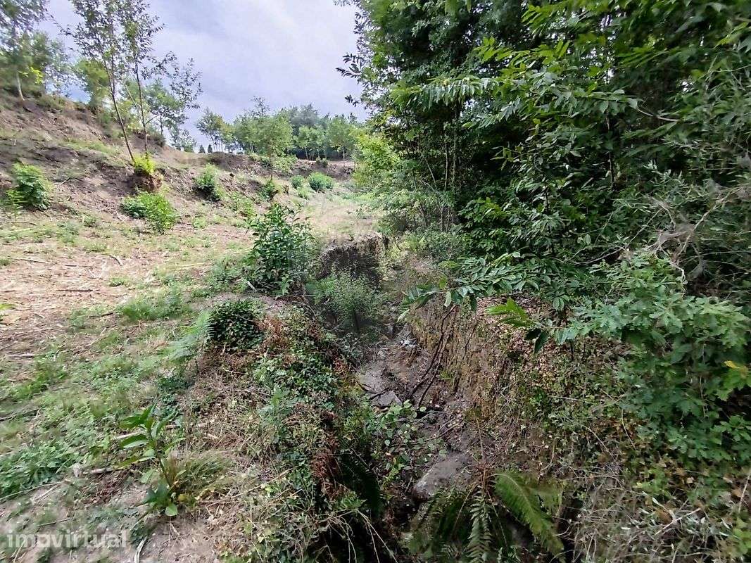 Terreno  para venda - Grande imagem: 3/24